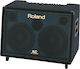 Roland KC-880 Combo Amplifier for Keyboards & Synths 2 x 12" 320W Black