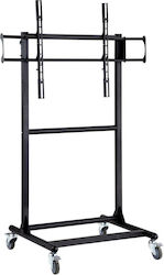 Reflecta 23207 Boden TV-Halterung Bis 70 Zoll
