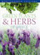 Green Plants & Herbs of Greece
