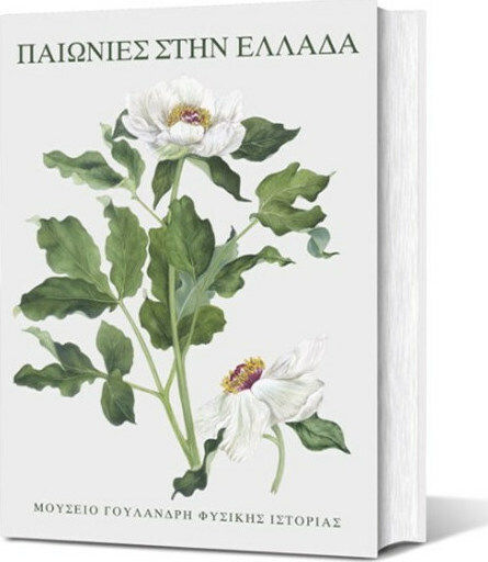 Παιωνίες στην Ελλάδα