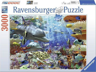 Puzzle 2D 3000 Pieces