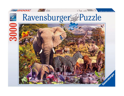 Puzzle 2D 3000 Pieces