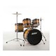 Ashton Drum Set