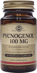 Solgar Pycnogenol 100mg 30 capsule veget 033984023062