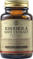 Solgar Rhodiola Wurzel-Extrakt 60 Pflanzliche Nahrungsergänzungsmittel