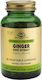 Solgar Ginger Root Extract 60 veg. caps