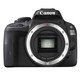 Canon DSLR Camera