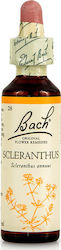 Bach Scleranthus Esență Florală în Picături 20ml