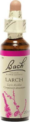 Bach Larch Ανθοΐαμα σε Σταγόνες 20ml