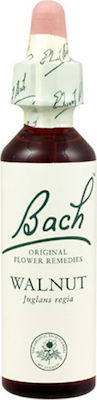 Bach Walnut Ανθοΐαμα σε Σταγόνες 20ml