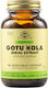 Solgar Standardized Gotu Kola Aerial Extract 10...