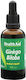 Health Aid Ginkgo Biloba 50ml