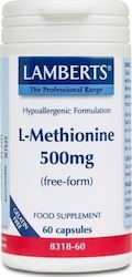 Lamberts L-Methionine 500mg 60 caps Unflavoured