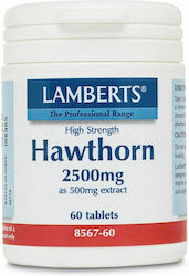 Lamberts Hawthorn 2500мг 60 табове