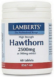 Lamberts Hawthorn 2500mg 60 ταμπλέτες Lamberts Hawthorn 2500mg 60 ταμπλέτες