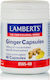 Lamberts Ginger 120mg 60 κάψουλες