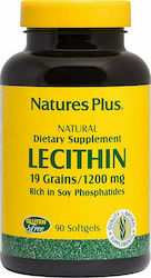 Nature's Plus Lecithin 1200mg 90 Softgels Nature's Plus Lecithin 1200mg 90 Softgels
