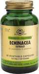 Solgar Echinacea Extract 60 φυτικές κάψουλες