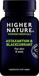 Higher Nature Astaxanthin and BlackCurrant 90 φυτικές κάψουλες Higher Nature Astaxanthin and BlackCurrant 90 φυτικές κάψουλες