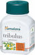 Himalaya Wellness Gokshura Men's Welness 60 tabs