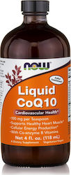 Now Foods CoQ10 118ml