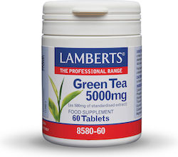 Lamberts Green Tea 5000mg 60 ταμπλέτες Lamberts Green Tea 5000mg 60 ταμπλέτες
