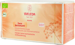 Weleda Herbs Blend Τσάï Θηλασμού STILLTEE 20 Bags 40gr
