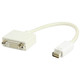 Valueline VLMP 32550 W0.20 DVI-D Male to Mini DVI Female Converter 1 Piece