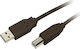 MediaRange USB 2.0 Cable USB-A male - USB-B mal...