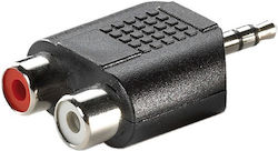Roline 11.99.4441 3.5mm Masculin În RCA 2x Femelă