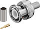 Ultimax BNC male (V7001B-DC)