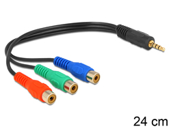 DeLock 62499 3.5mm male σε RCA female