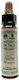 Ainsworths Gorse Ανθοΐαμα σε Σταγόνες 10ml