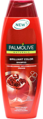 Palmolive Shampoos Farberhalt für Gefärbt Haare 1x400ml