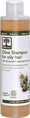 Bioselect Shampoos for Oily Hair 200ml