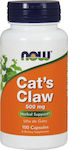 Now Foods Cat's Claw 100 caps