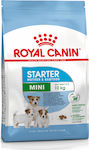 Royal Canin Starter Mother & Babydog Mini 3kg Hrană Uscată pentru Cățeluși de Rase Mici cu Porumb, Păsări de curte și Orez