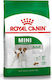 Royal Canin Mini Adult 2kg Trockenfutter für erwachsene Hunde kleiner Rassen mit Mais und Geflügel