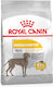 Royal Canin Dermacomfort Maxi 12kg Hrană Uscată fără Gluten pentru Câini Adulţi de Rase Mari cu Orez