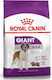 Royal Canin Giant Adult 15kg Hrană Uscată pentru Câini Adulți de Rase Mari cu Păsări de curte și Porumb