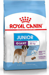 Royal Canin Junior Giant 15kg Ξηρά Τροφή για Κουτάβια Μεγαλόσωμων Φυλών με Καλαμπόκι, Ρύζι και Πουλερικά