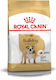 Royal Canin Adult Bulldog 12kg Trockenfutter für erwachsene Hunde kleiner Rassen mit Geflügel und Reis