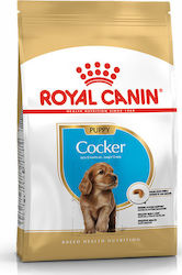 Royal Canin Cocker Puppy 3kg Ξηρά Τροφή για Κουτάβια Μεσαίων Φυλών με Καλαμπόκι, Πουλερικά και Ρύζι