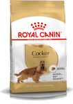 Royal Canin Adult Cocker 3kg Trockenfutter für erwachsene Hunde mittlerer Rassen mit Brauner Reis und Huhn