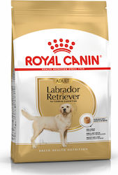 Royal Canin Adult Labrador Retriever 3kg Dry Food for Adult Large Breed Dogs with Poultry and Rice