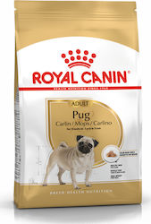 Royal Canin Adult Pug 1.5kg Hrană Uscată pentru Câini Adulți de Rase Mici cu Porumb, Păsări de curte și Orez