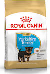 Royal Canin Puppy Yorkshire Terrier 1.5kg Trockenfutter für Welpen kleiner Rassen mit Geflügel und Reis