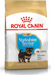 Royal Canin Puppy Yorkshire Terrier 1.5kg Hrană Uscată pentru Cățeluși de Rase Mici cu Păsări de curte și Orez