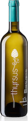 Oinogenesis Thyrsus White Dry 750ml