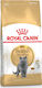 Royal Canin British Shorthair Adult Dry Food Gluten-Free for Adult Cats with Corn 2kg